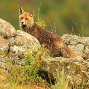 Antiguas-canteras_0000_Layer 2