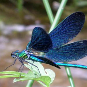 Antiguas-canteras_0001_Layer 1